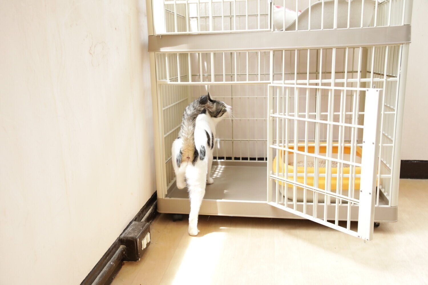 撮影／尾﨑たまき