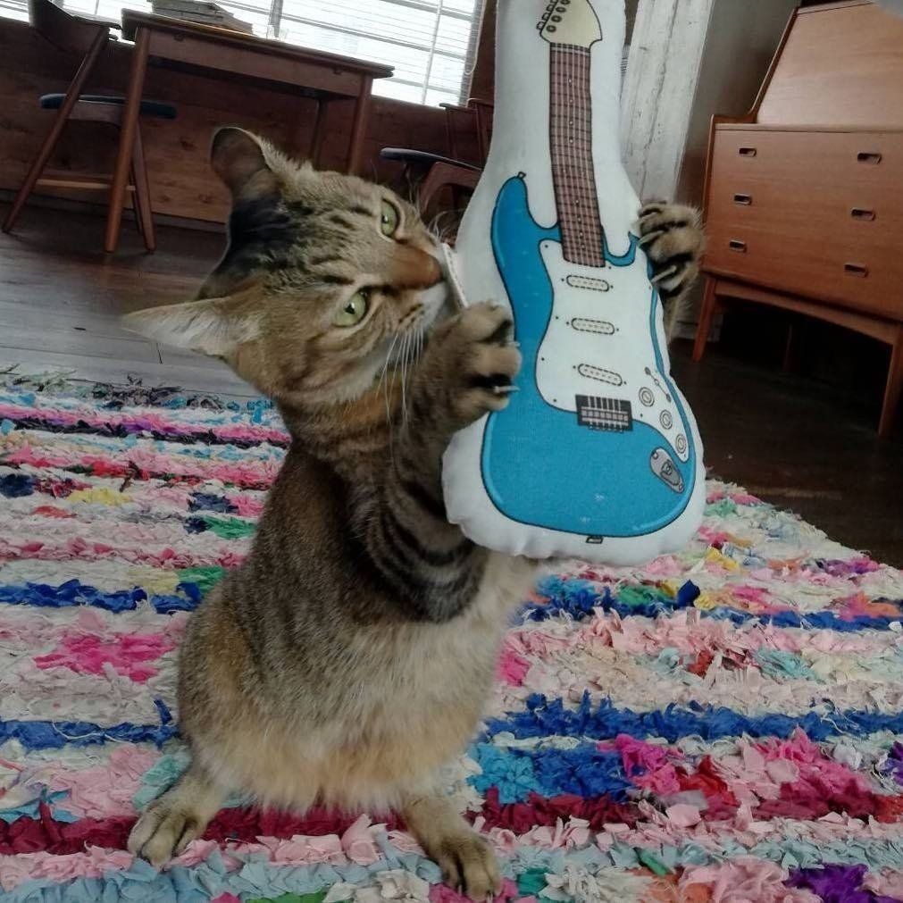 立ち上がってギターを縦弾きする猫
