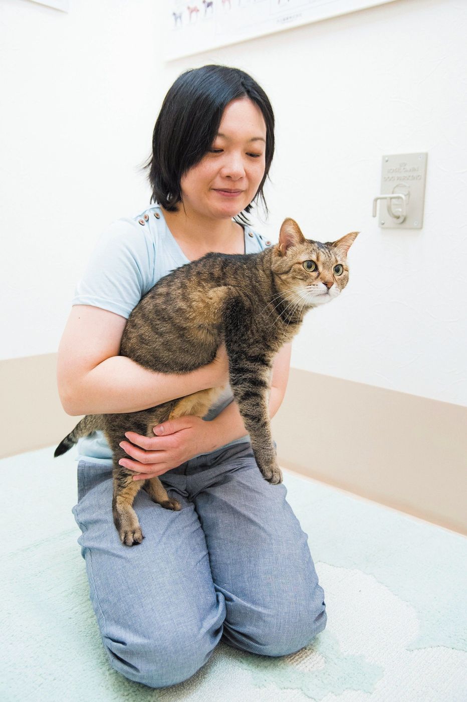 愛猫が少しでも臭いと思ったら 猫のニオイを嗅いでわかること3 ねこのきもちweb Magazine 愛猫が少しでも臭いと思ったら 猫のニオイを嗅いでわかること3 ねこのきもちweb Magazine