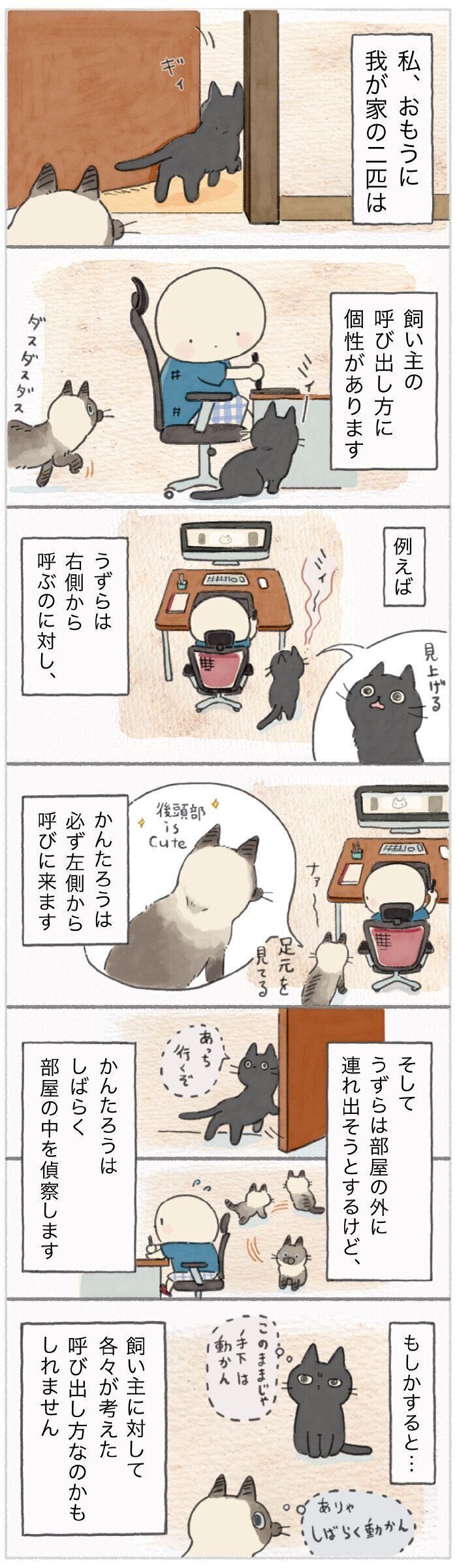 「ねこ連れ草」185話め