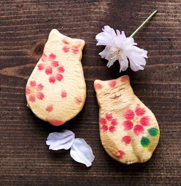 「京都まいこと」の猫さんくっきー