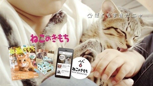 ねこのきもちCM