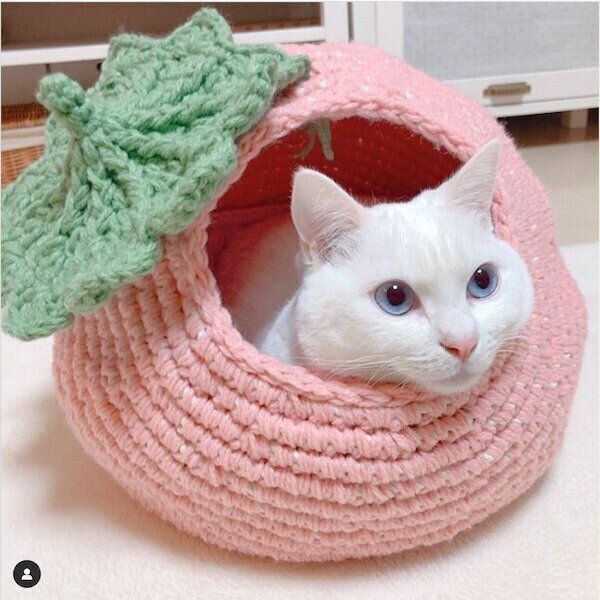 猫のDIY作品