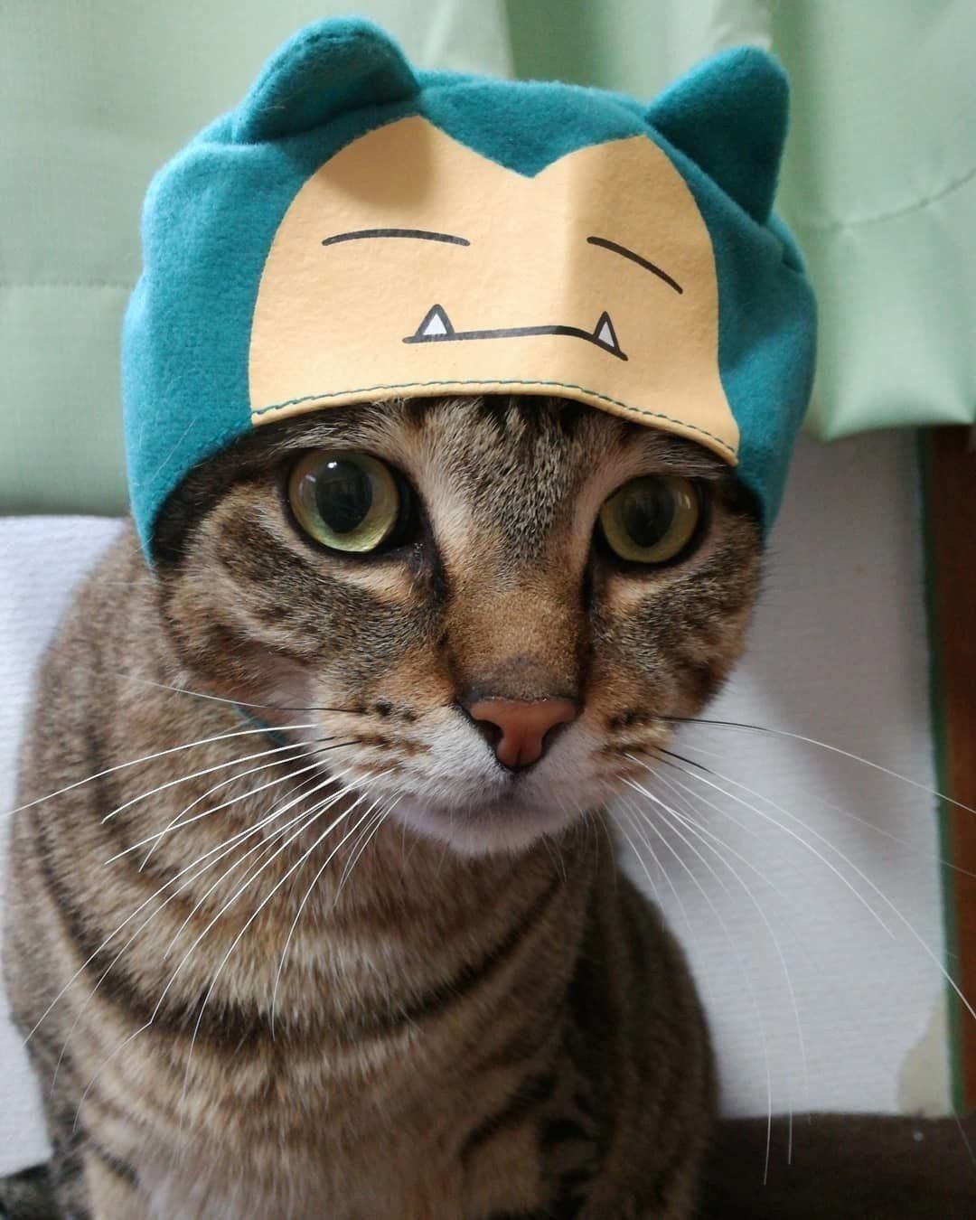 カビゴンのかぶりもの