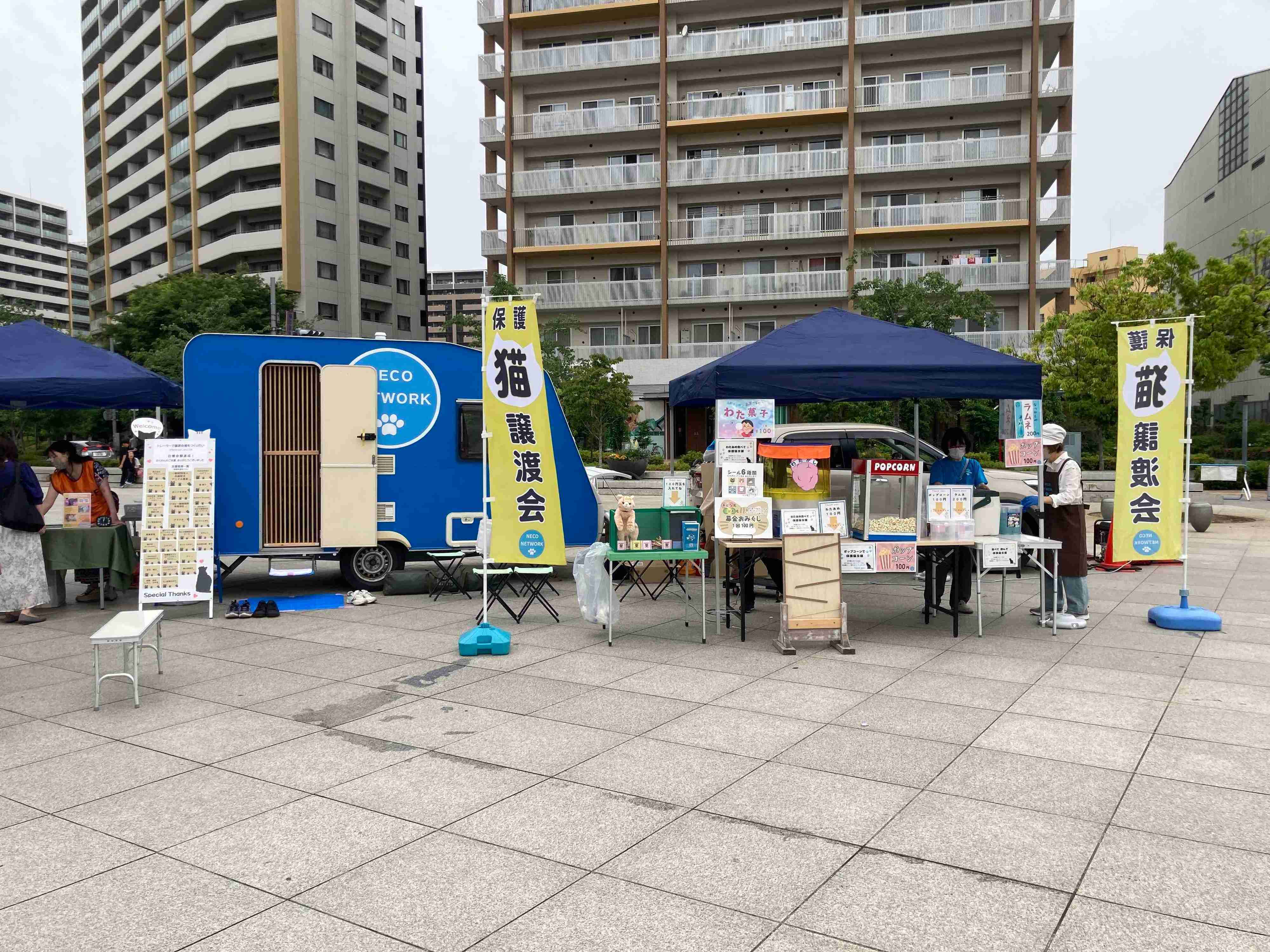 商業施設や公共施設など人が集まる場所に出張する「トレーラー保護猫譲渡会」は春と秋に数回ずつ開催中