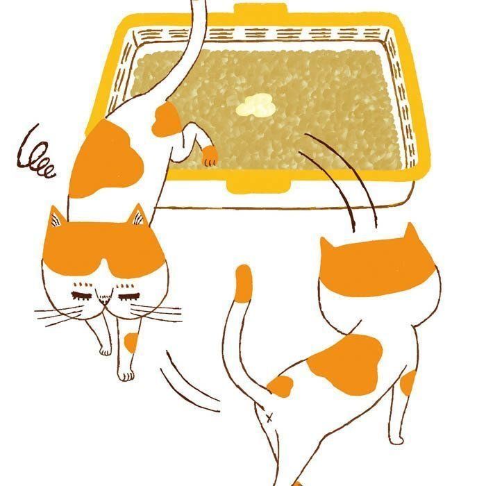 イラスト／Studio CUBE.