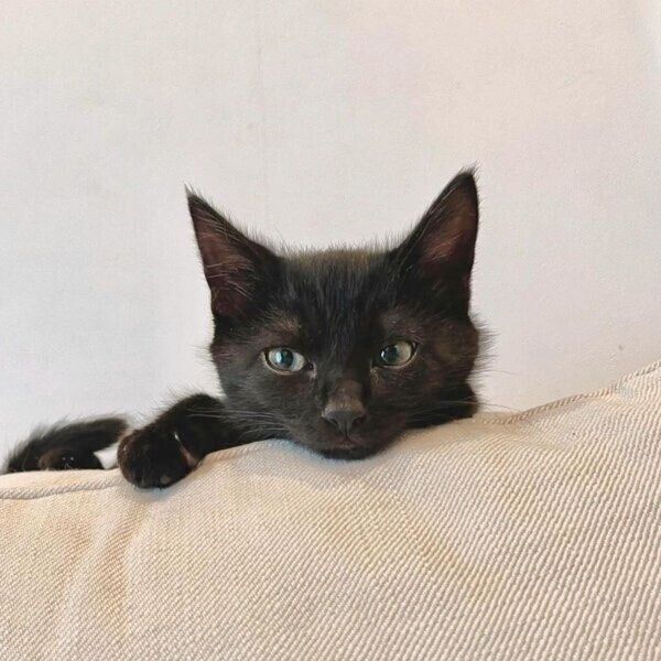 少しずつ成長してきたヨルくん