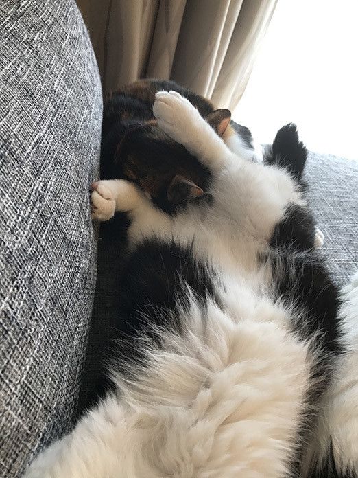 響介VSリュック〜Apple Watchをめぐる争い