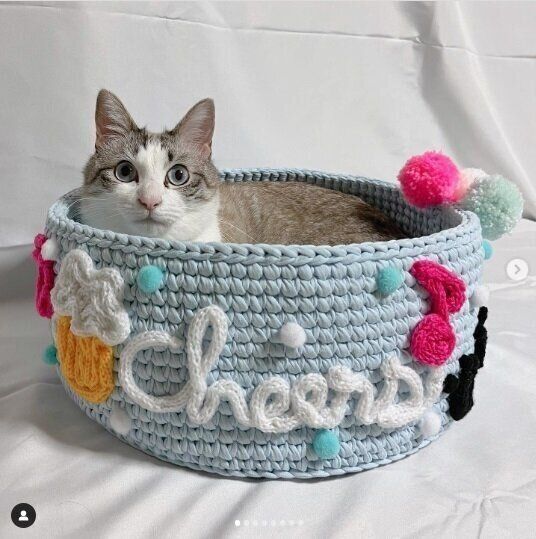 ヤーンかごのベッドに入る猫