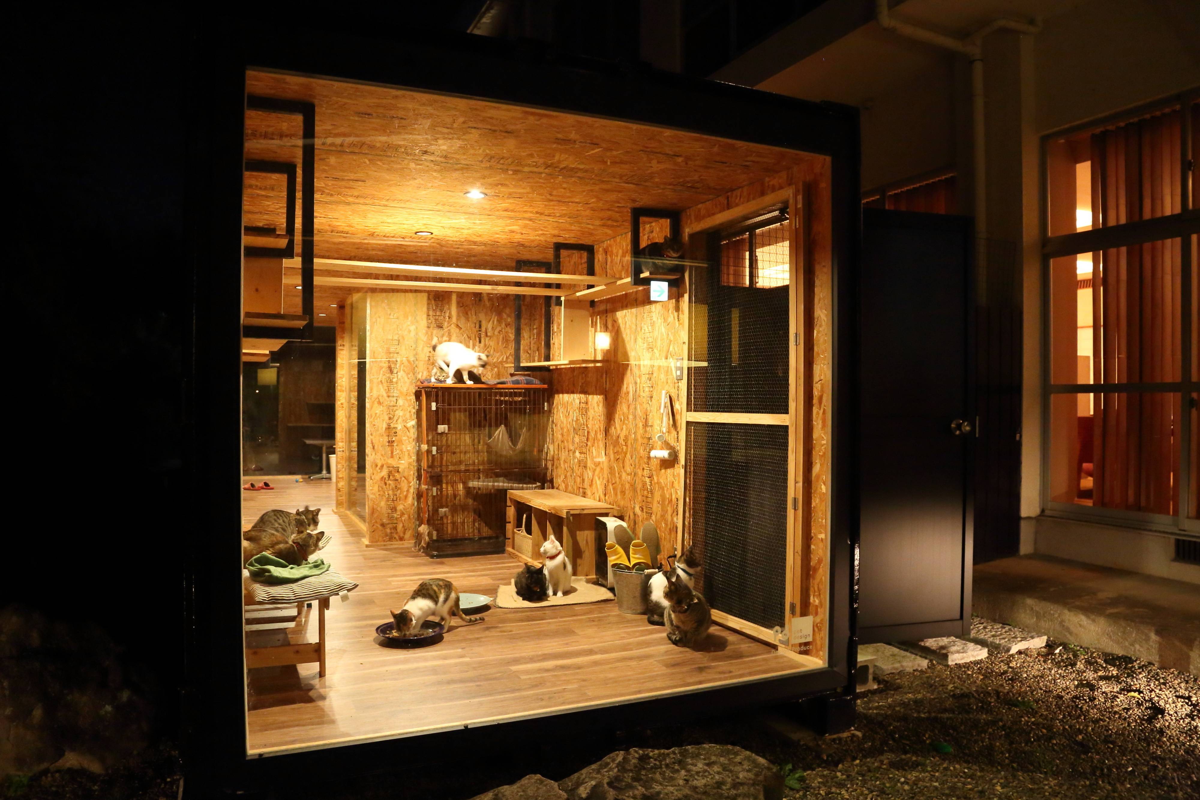 撮影／尾﨑たまき