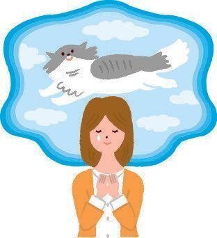 イラスト／石山綾子