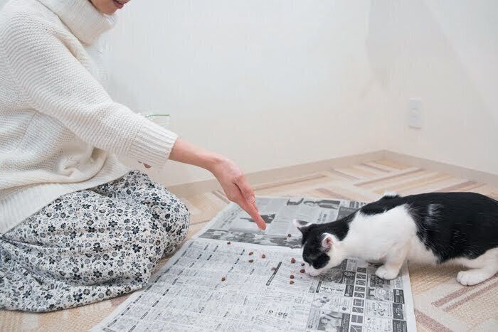 新聞紙の上にフードをまく