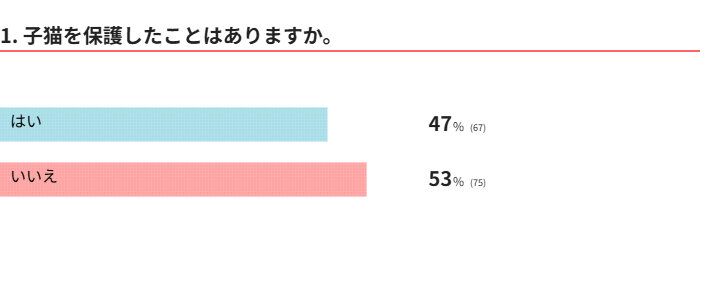 子猫を保護した経験はある？