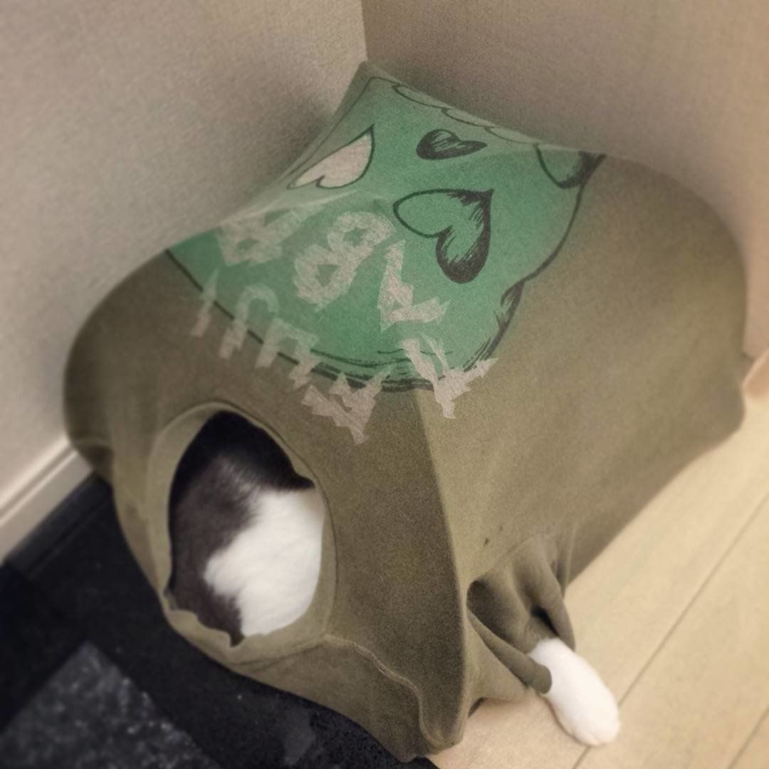 袖の部分から足が……♡