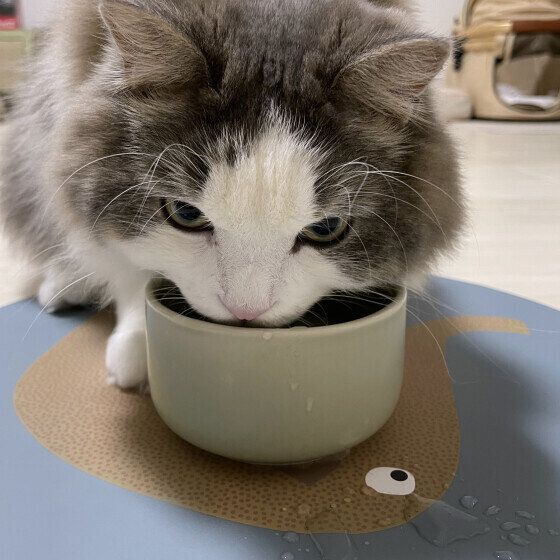 水を飲むラフくん