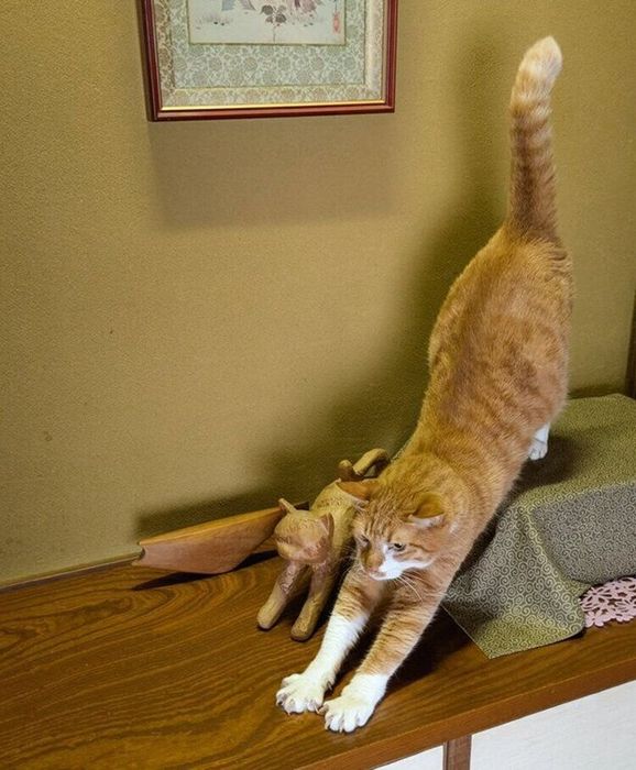 猫の置物と同じポーズで伸びをするチャロくん
