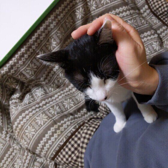 甘えている茉莉花ちゃん