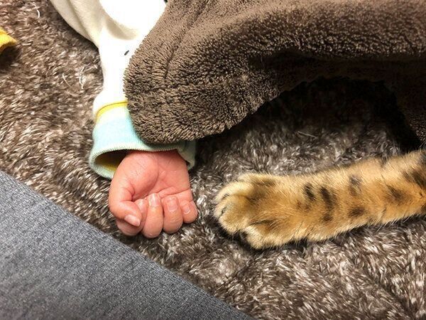 お子さんとざらめくん