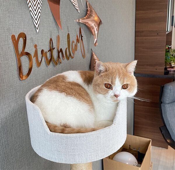 誕生日を迎えたかんきちくん