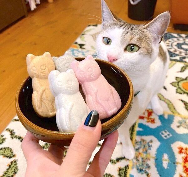 リクエスト専用　蝶々　梅の花　ラメ　猫　5個セット リクエスト専用 蝶々 梅の花 ラメ 猫 5個セット | チャーム