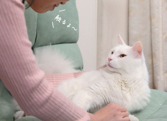 やさしい声かけでスキンシップを始めよう