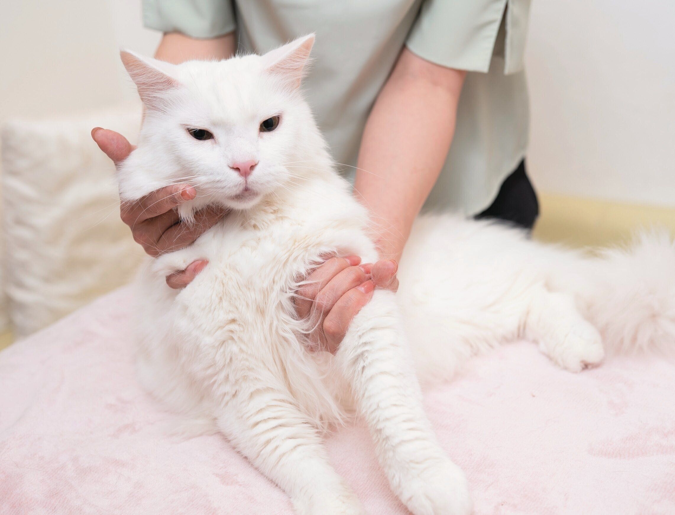 血行を促進させるマッサージ