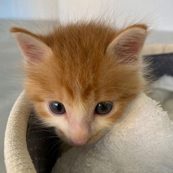 まだまだあどけない姿のジンくん