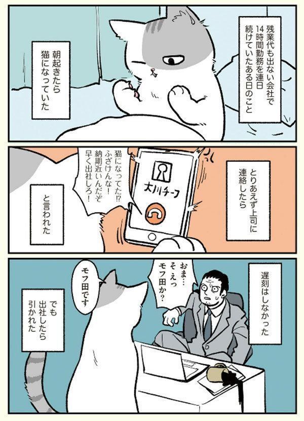画像出典：Amazon