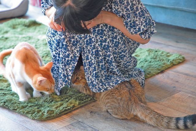 撮影／尾﨑たまき