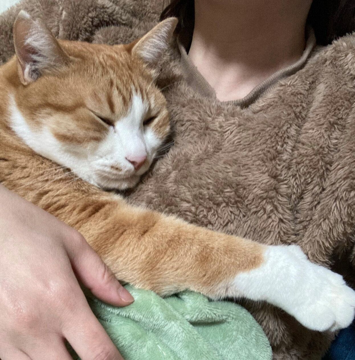 飼い主さんに甘えるシャシャくん