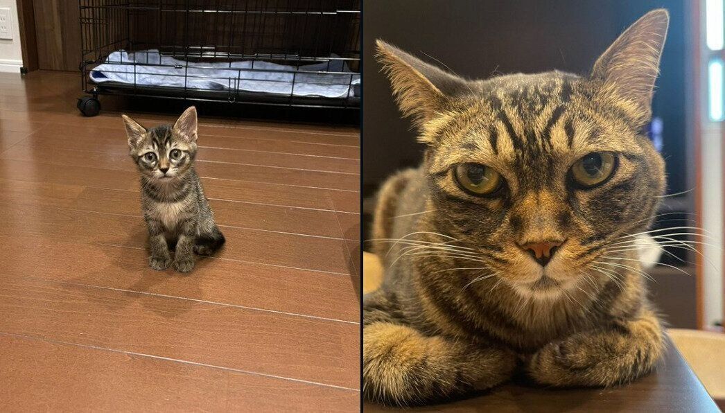 無言の圧の雰囲気が変わった真良くん