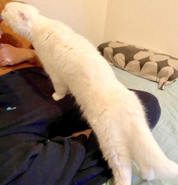 おやつを食べるむくちゃん