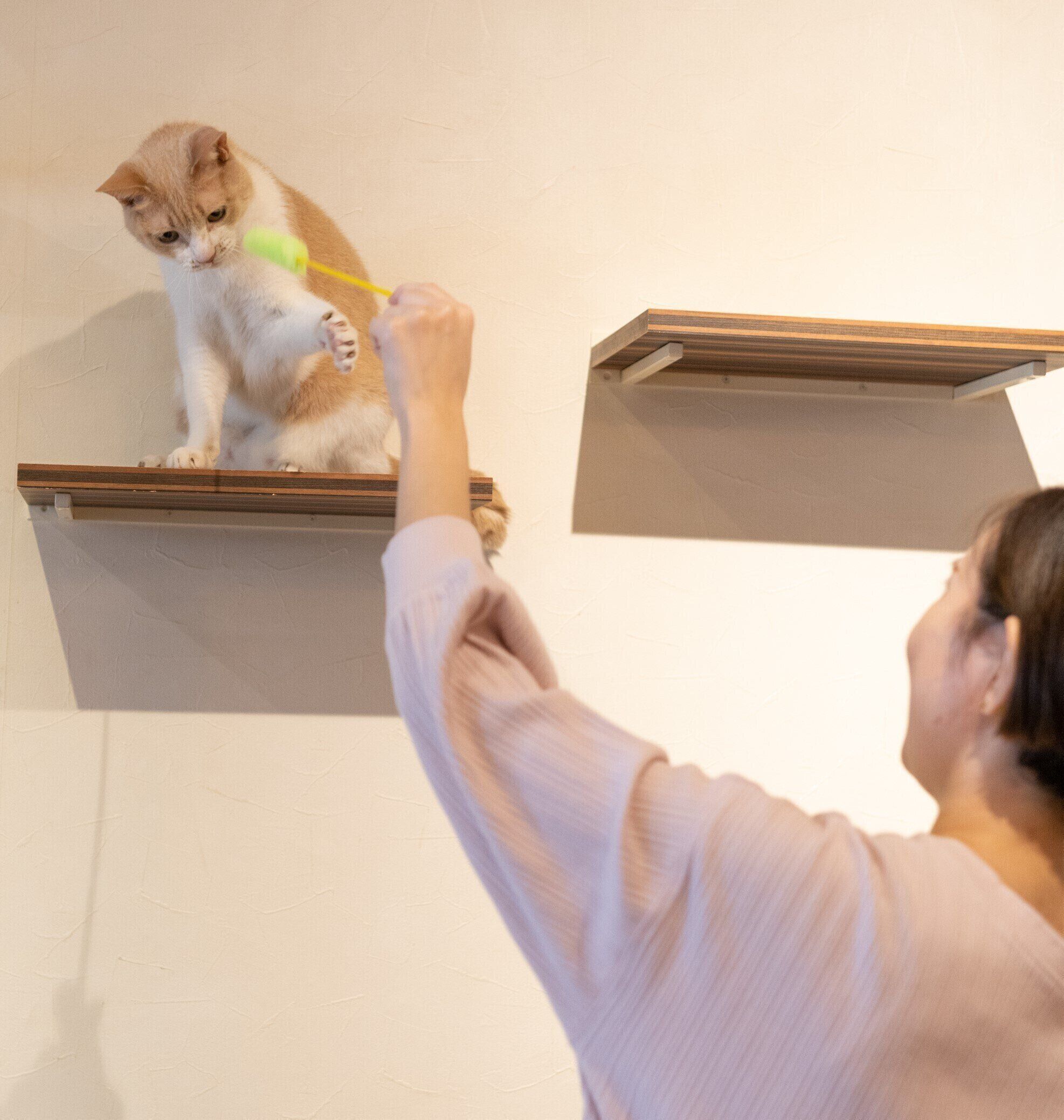 撮影／石原さくら