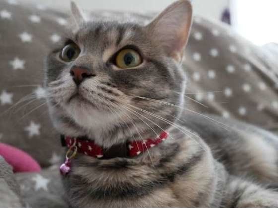 ハッピーバースデー！