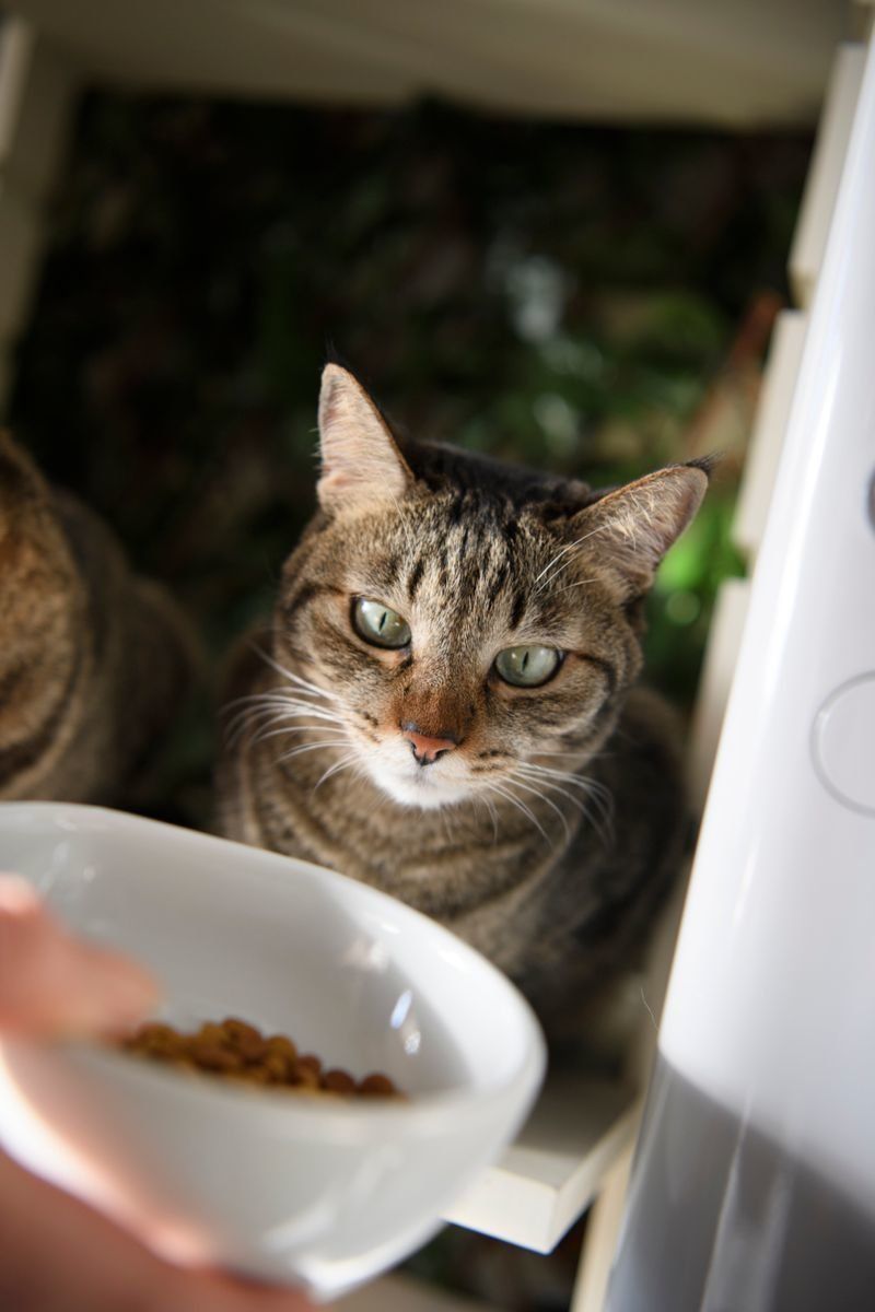 撮影／Akimasa Harada