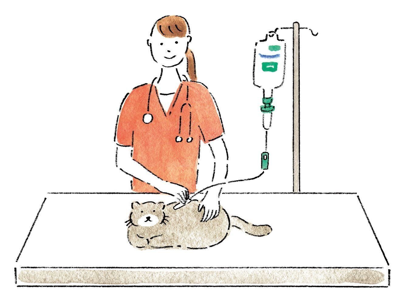 イラスト／みやしたゆみ