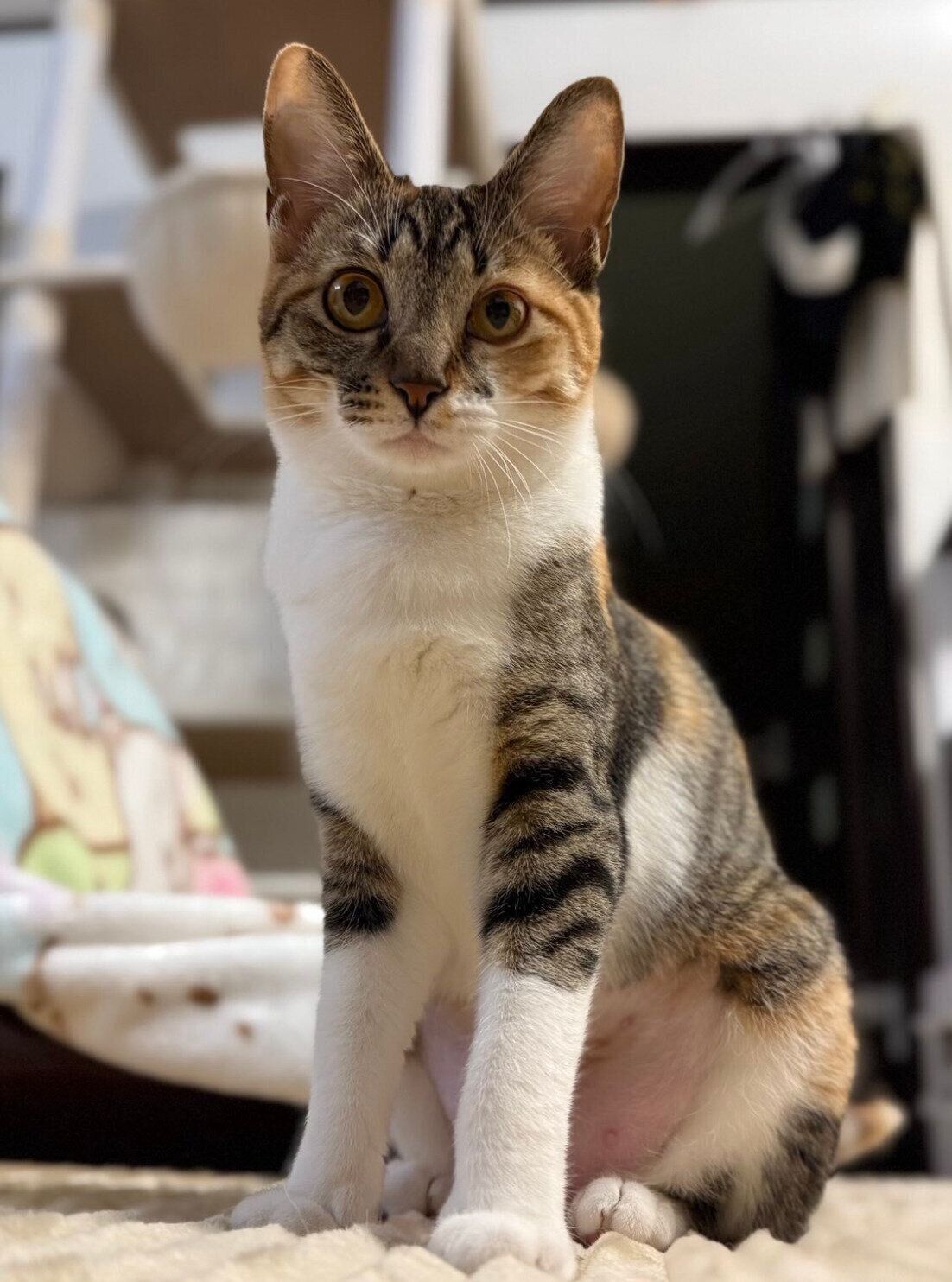 成長したマーブルちゃん