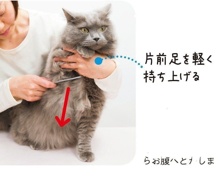 撮影／中川文作