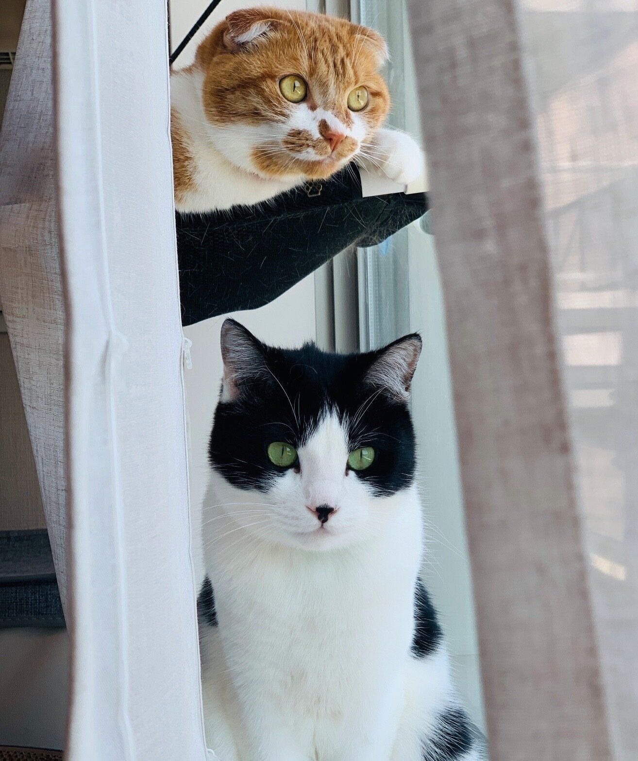 まったりするペペくん、ポポちゃん