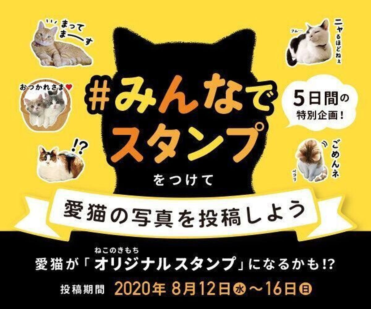 みんなでスタンプ あなたの愛猫がスタンプになれちゃうかも 公式アプリ投稿キャンペーン実施中 ねこのきもちweb Magazine みんなでスタンプ あなたの愛猫がスタンプになれちゃうかも 公式アプリ投稿キャンペーン実施中 ねこのきもちweb Magazine
