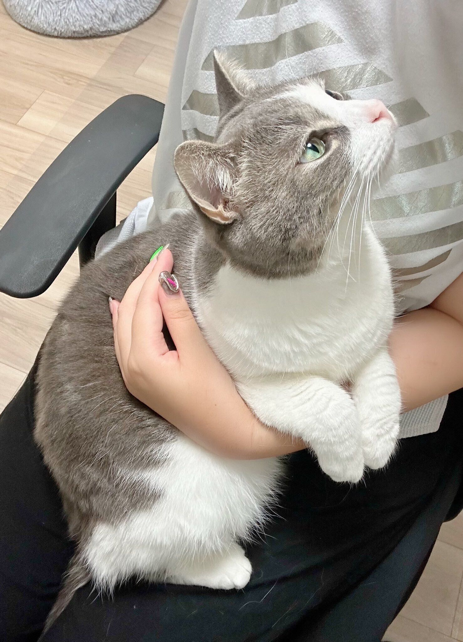 甘えているぷくちゃん