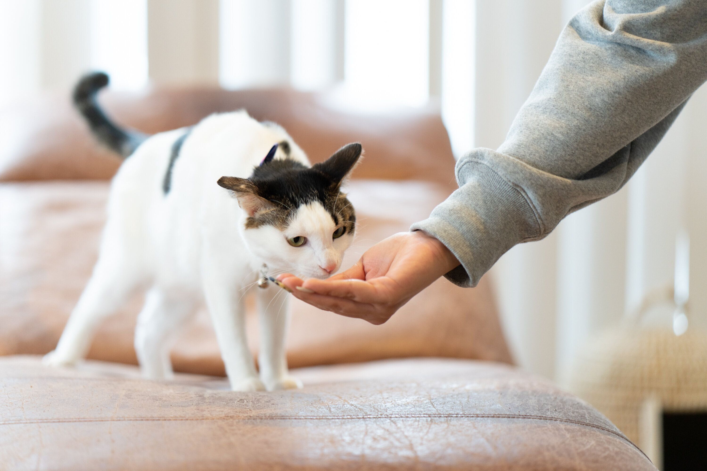 撮影／石原さくら