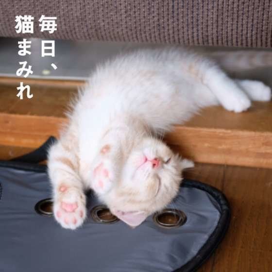 踊る、バロンくん