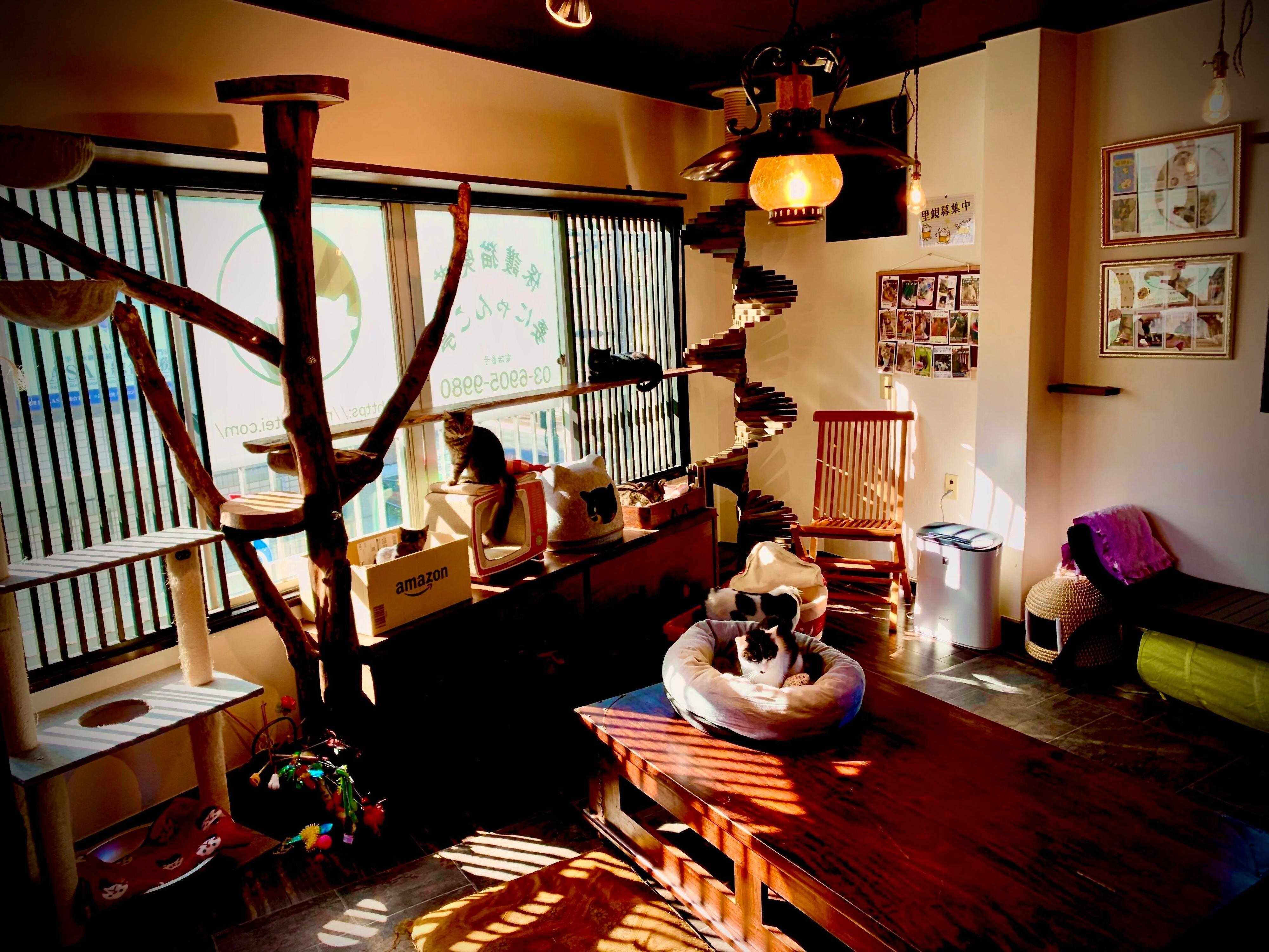 暖かい日差しが差し込む店内