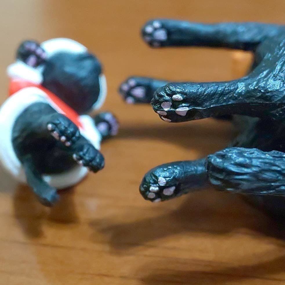 ふちねこの肉球