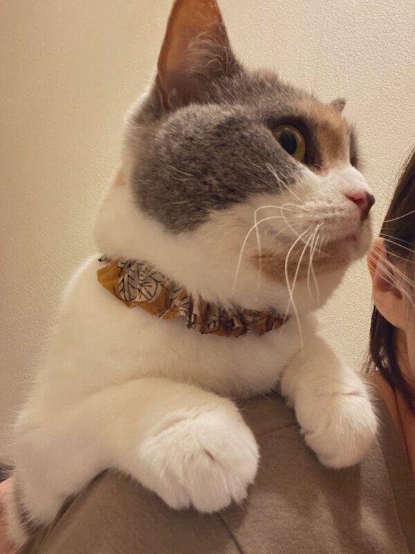 飼い主さんの背中に乗るみこさん