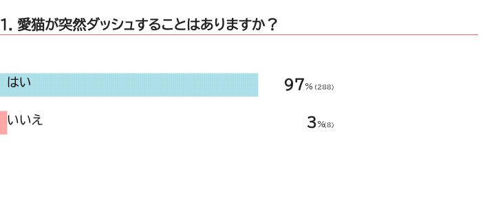 愛猫が突然ダッシュすることはある？