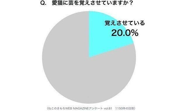 調査：愛猫に芸を覚えさせているか