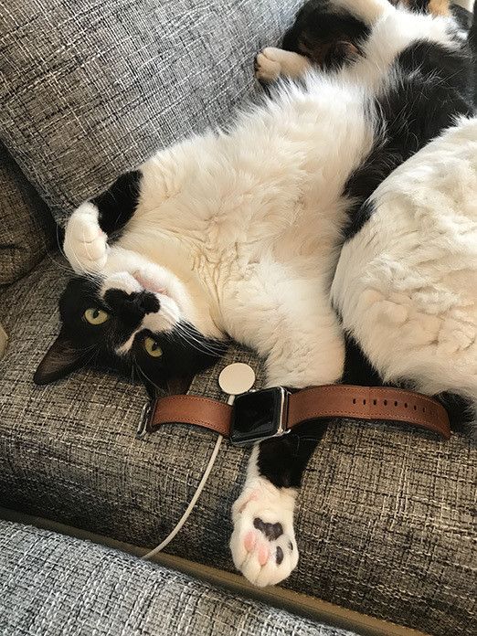 響介VSリュック〜Apple Watchをめぐる争い