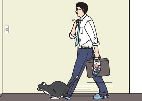 「男の猫道」サムネイル